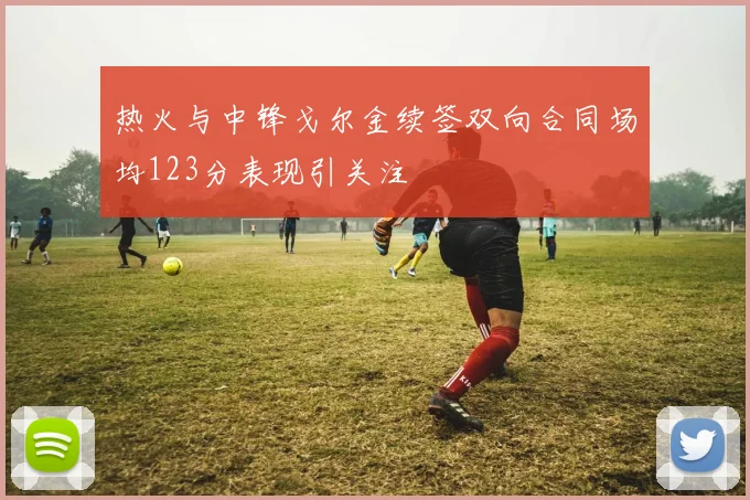 热火与中锋戈尔金续签双向合同场均123分表现引关注