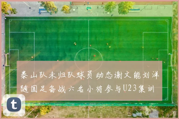 泰山队未归队球员动态谢文能刘洋随国足备战六名小将参与U23集训