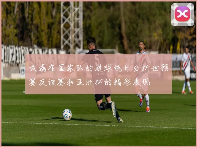 武磊在国家队的进球统计分析世预赛友谊赛和亚洲杯的精彩表现