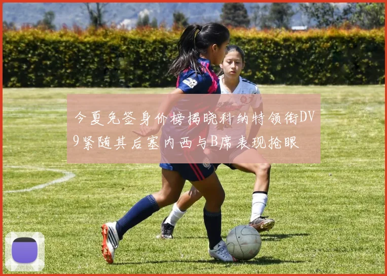 今夏免签身价榜揭晓科纳特领衔DV9紧随其后塞内西与B席表现抢眼