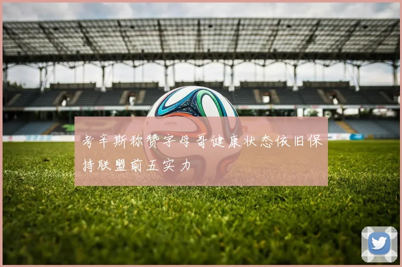 考辛斯称赞字母哥健康状态依旧保持联盟前五实力