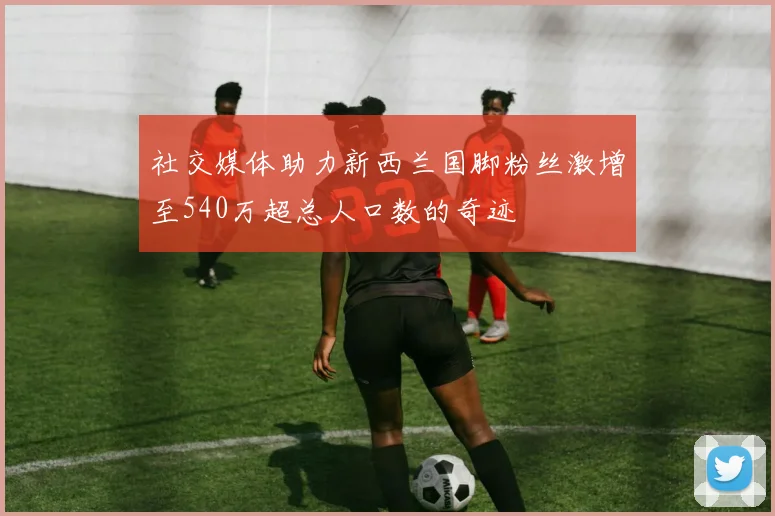 社交媒体助力新西兰国脚粉丝激增至540万超总人口数的奇迹